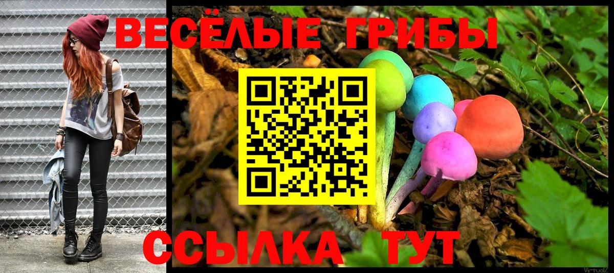 Галлюциногенные грибы прущие грибы Кизилюрт