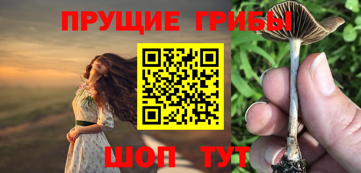 Галлюциногенные грибы Psilocybe  Вход с VPN  Кизилюрт 